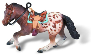 Picture of Cal Appaloosa
