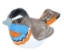 Poza cu Pasare cu sunet Privighetoare Gusa Vanata - BLUETHROAT