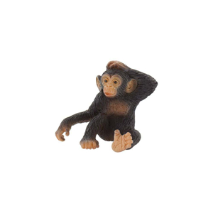 Picture of Cimpanzeu