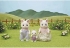 Poza cu Figurine Sylvanian Families - Familia Pisicutelor Floral