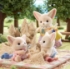 Poza cu Figurine Sylvanian Families-Gemenii Vulpite Fennec