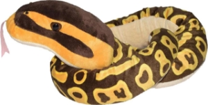 Poza cu Sarpe BALL PYTHON